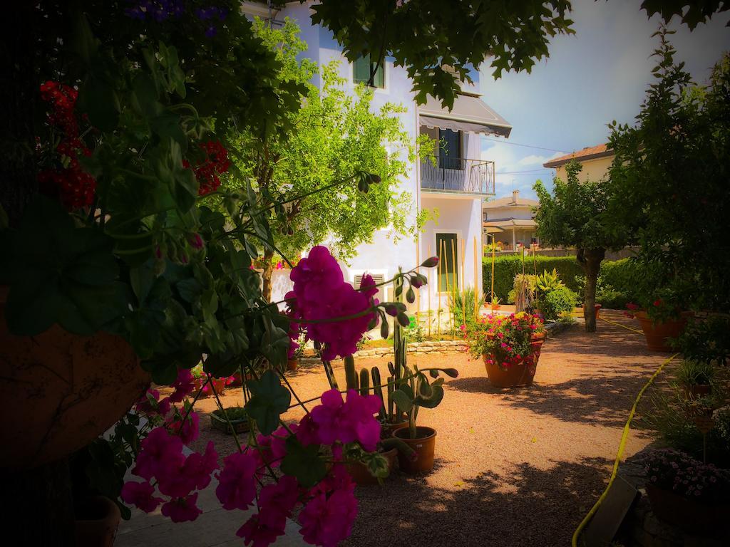 Bed & Breakfast Don Carlos San Martino di Lupari Exteriér fotografie